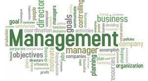 Article on Organization Management