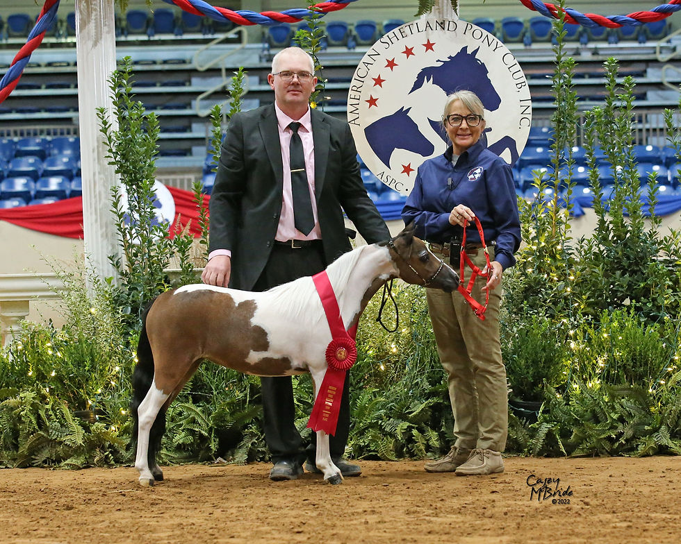 BONDES BOUNCIN B FAITH RYDER (2xHOF)