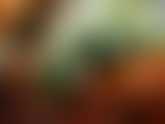 Understanding Funeral Costs in Barbados: What Families Need to Know