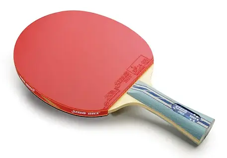 DHS-A5002-Table-Tennis-Racket-Photo.webp