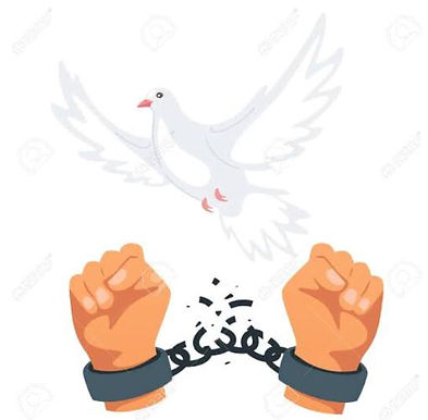 "Liberty is not a gift for few” : Supreme Court directs High courts, District courts to monitor pendency of bail applications