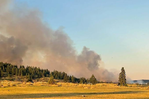 In Lytton, Canada, a wildfire has burned 90% of the forest, resulting in the country's highest ever temperature