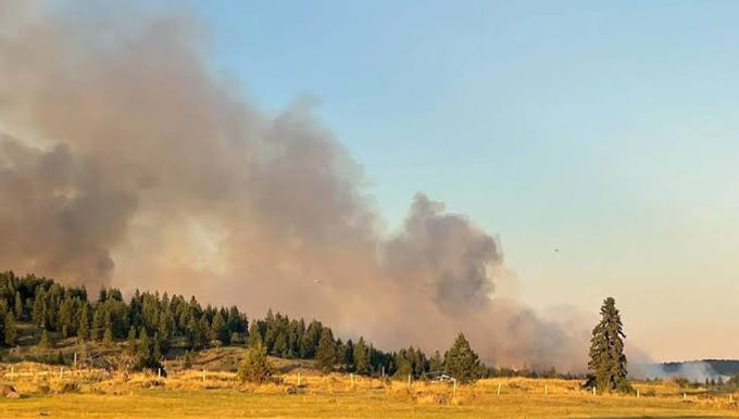 In Lytton, Canada, a wildfire has burned 90% of the forest, resulting in the country's highest ever temperature