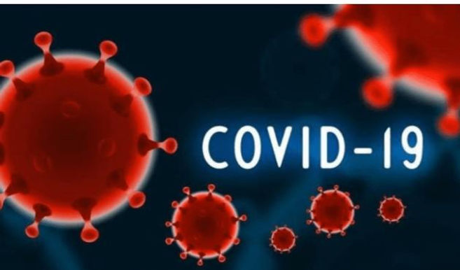 Delhi has witnessed the highest single - day spike in COVID-19 cases