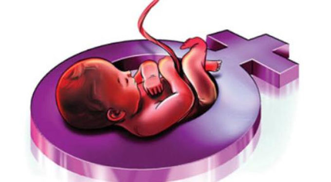Termination of female foeticide is destruction of woman of future : Punjab and Haryana high court