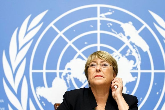 UN Human Rights Commissioner urges the Indian Government to safeguard the rights of human rights activists and NGOs
