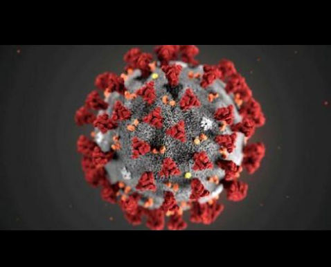 CORONAVIRUS COULD DISRUPT GLOBAL ECONOMIC RECOVERY IMF DIRECTOR