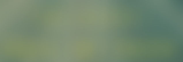 Garbage land by Elizabeth Royte