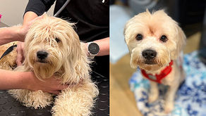 What a Difference a Day Makes!