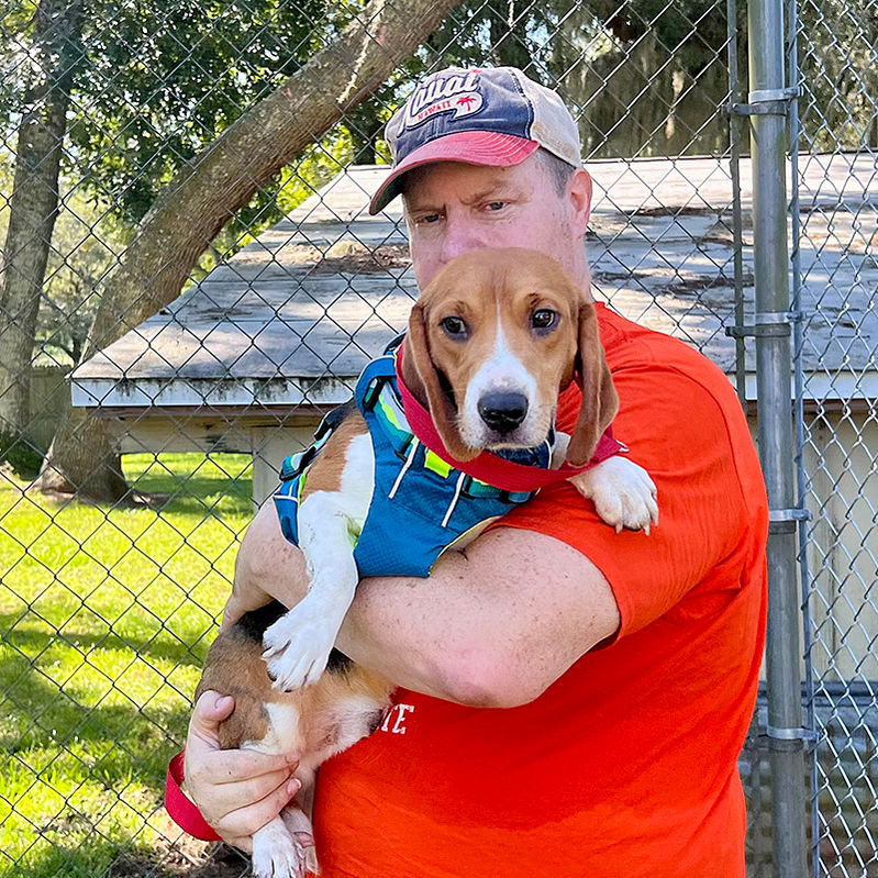 44 Walt Beagles IMG_4401_800x800.jpg