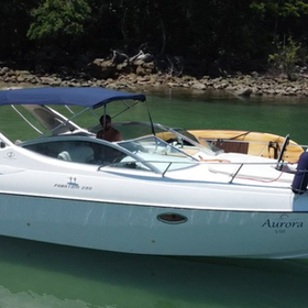 PHANTOM 290