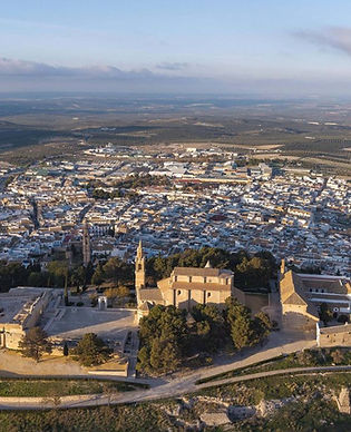 estepa_web.jpg