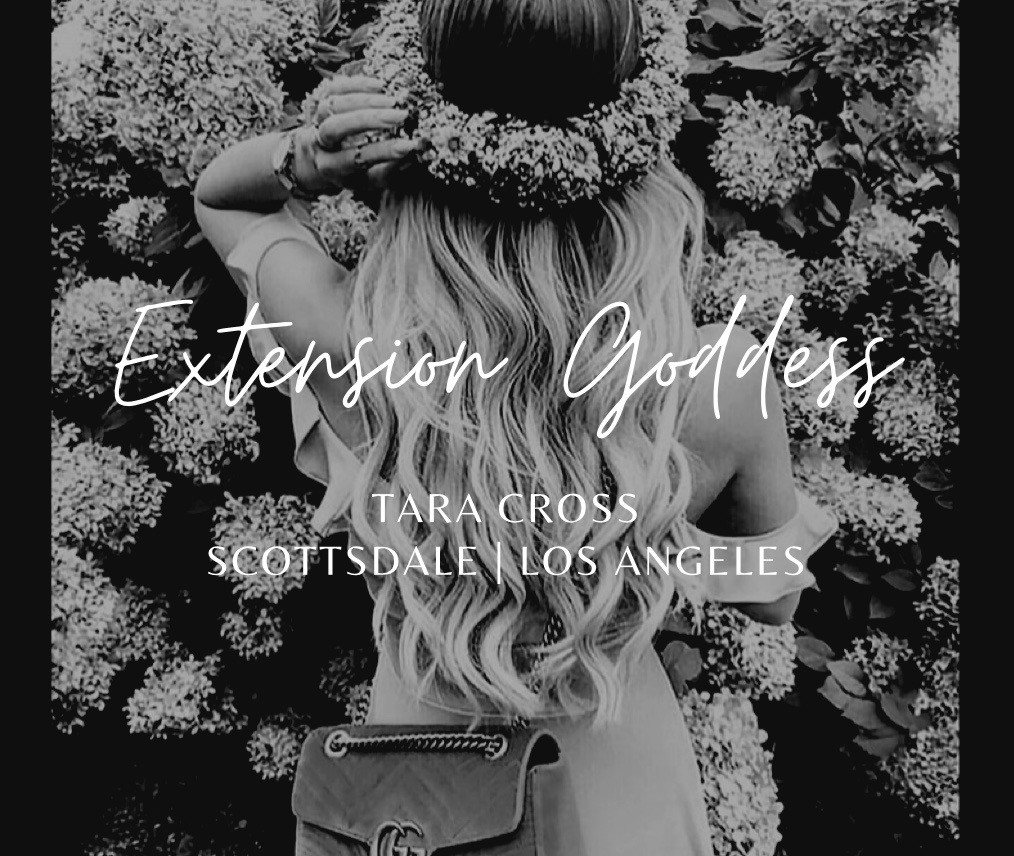 Extension Goddess Hair Extensions Hair Color Scottsdale