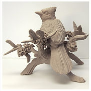 JS Blue Jay Back copy_edited.jpg