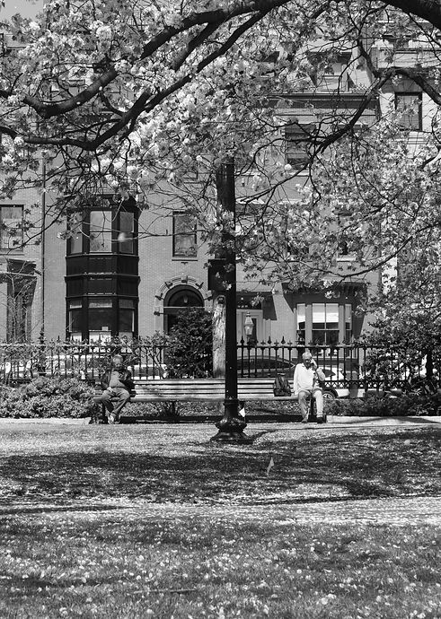 Spring-Boston-3.jpg
