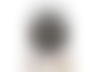 2025 Dai Token Ichi (Part 5): Juyo Tosogu Signed: Nobuie – “Baika and karakusa zu Tsuba” formerly owned by Shibata Ka.