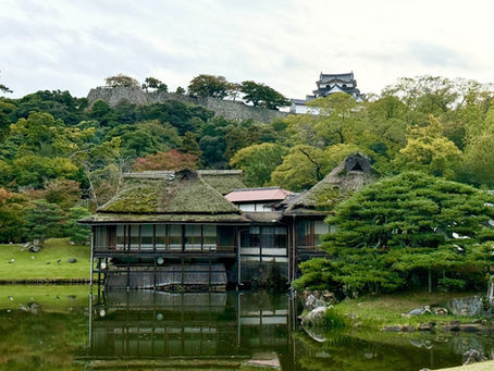 Hikone castle