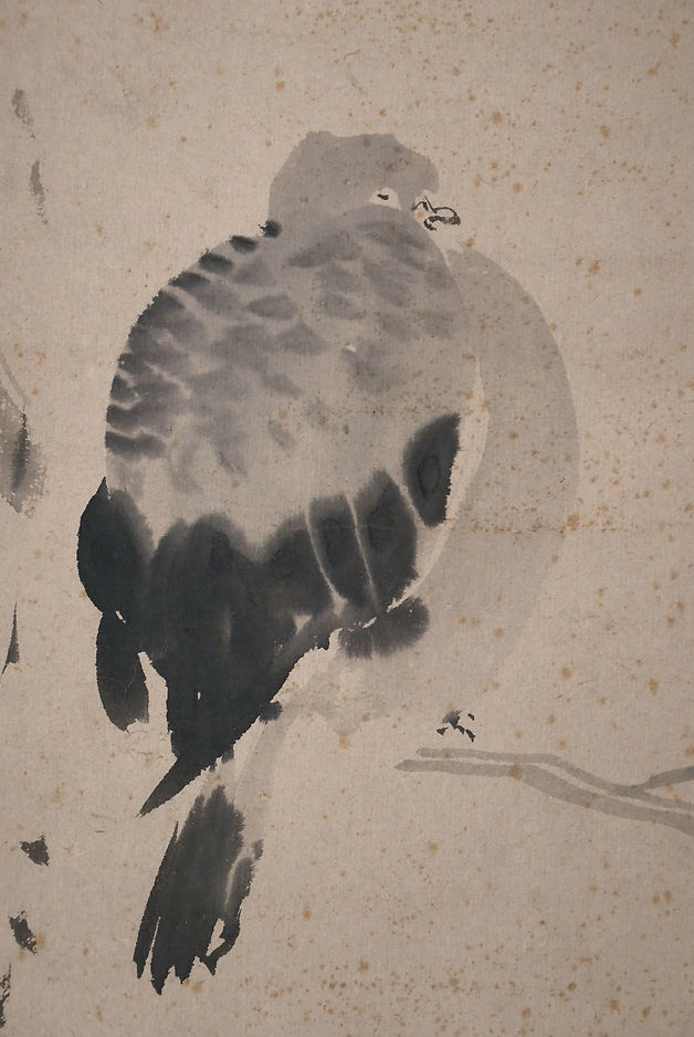 日本美術 書画・掛軸 | 鳩図 久隅守景 | gallery陽々youyou | 山梨