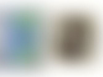 Works of Higo Kinko, Kamiyoshi family