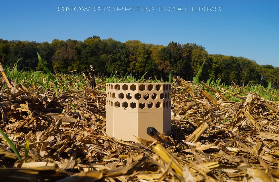 tan speaker