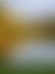 My College Experience