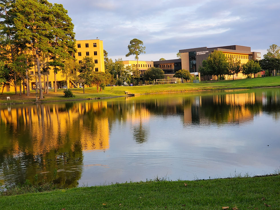 The lake on campus is beautiful and I spent so many hours reading and writing out here :)