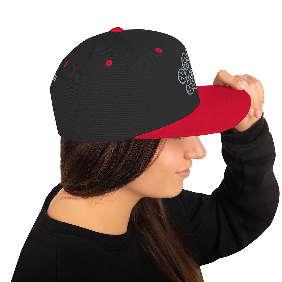 Thumbnail: Pawsitive Snapback Hat