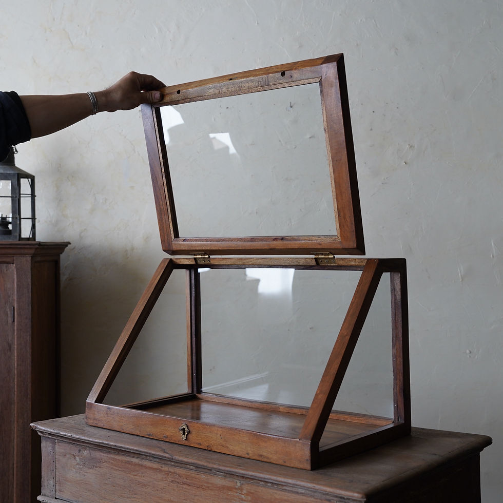 サムネイル： Reclaimed Indian Acacia Wood Showcase