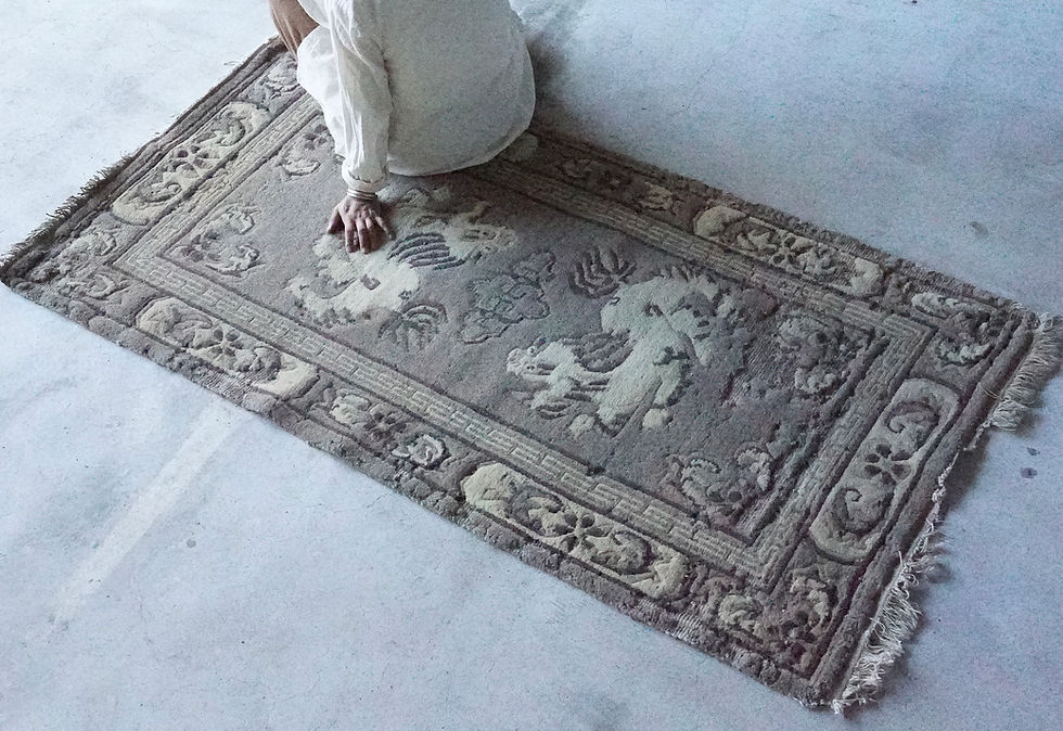 Tibetan vintage rugs snowlion