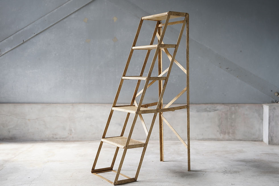 Vintage Indian iron step ladder open display rack