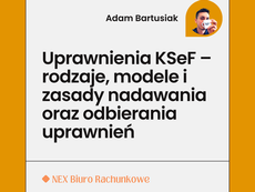 Uprawnienia KSeF – rodzaje, modele i zasady nadawania oraz odbierania uprawnień