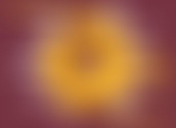 A proposal for the pigeon as a mascot!