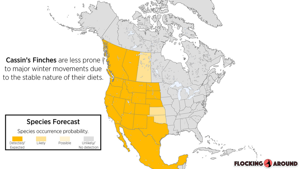 Cassin's Finch Irruption Map
