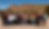 2022 cohort.png