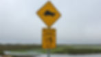 a sea otter crossing sign