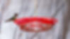 Hummingbird Feeder Recommendation: Juegoal 12 oz Hanging Hummingbird Feeder