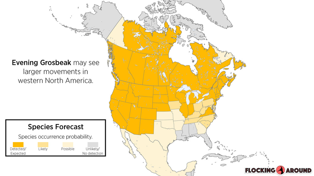 Evening Grosbeak Irruption Map