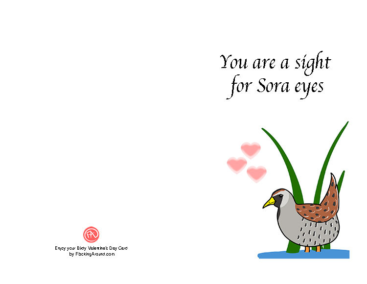 a greeting card with a gray and brown bird and text reading "you're a sight for sora eyes" and the back page