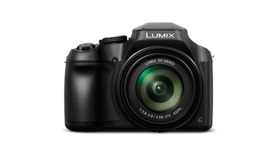 Panasonic Lumix FZ80 great for birdwatching and wildlife