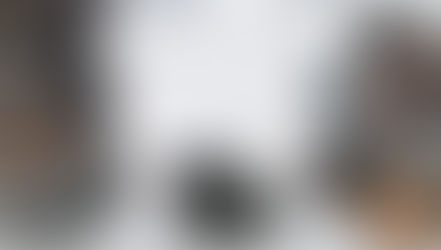 Six small birds with varied plumage peck at the snow-covered ground. White background and slight flurries create a wintry mood.