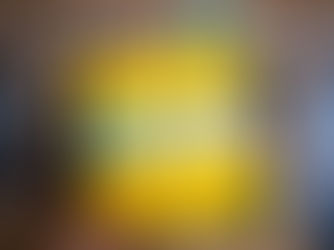 Yellow "Flock Blocker" held in hand, aims to protect birds from windows. Background shows part of a sign with bird imagery. Mood is informative.