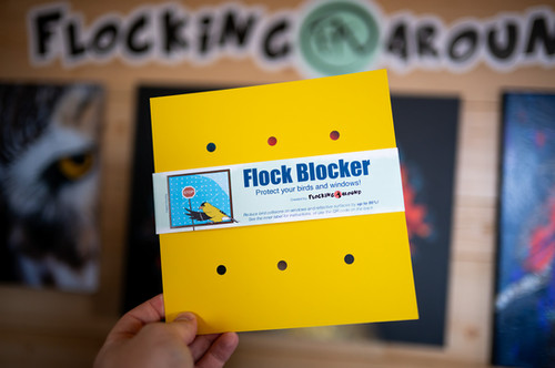 Flock Blocker Bird Saver | Birding Store | Flocking Around