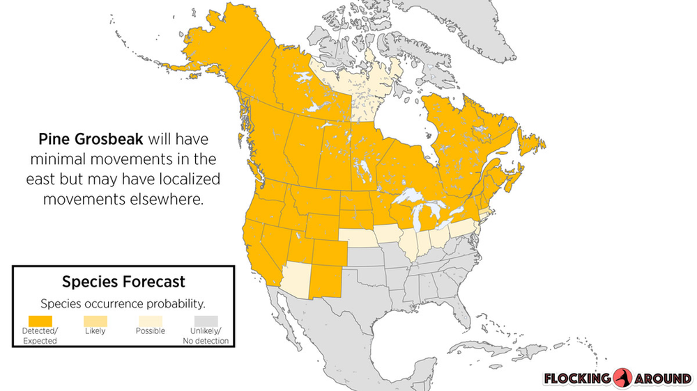 Pine Grosbeak Irruption Map