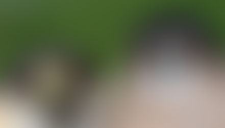 Sharp-shinned Hawk vs Cooper's Hawk Identification