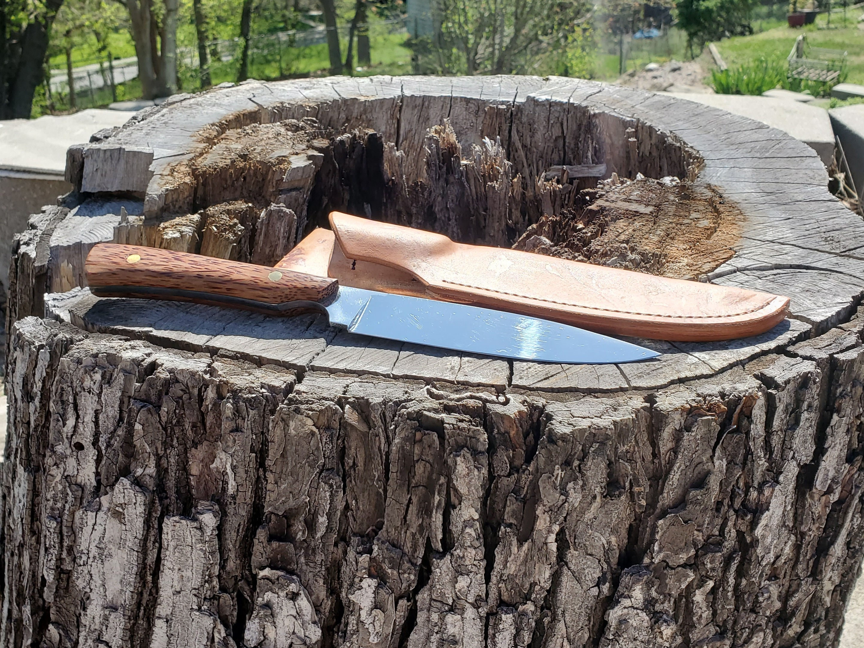 Red Palm Bowie Knife & Sheath