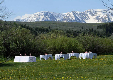 Plan A Montana Wedding