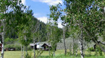 Vacation House Near Yellowstone National Park