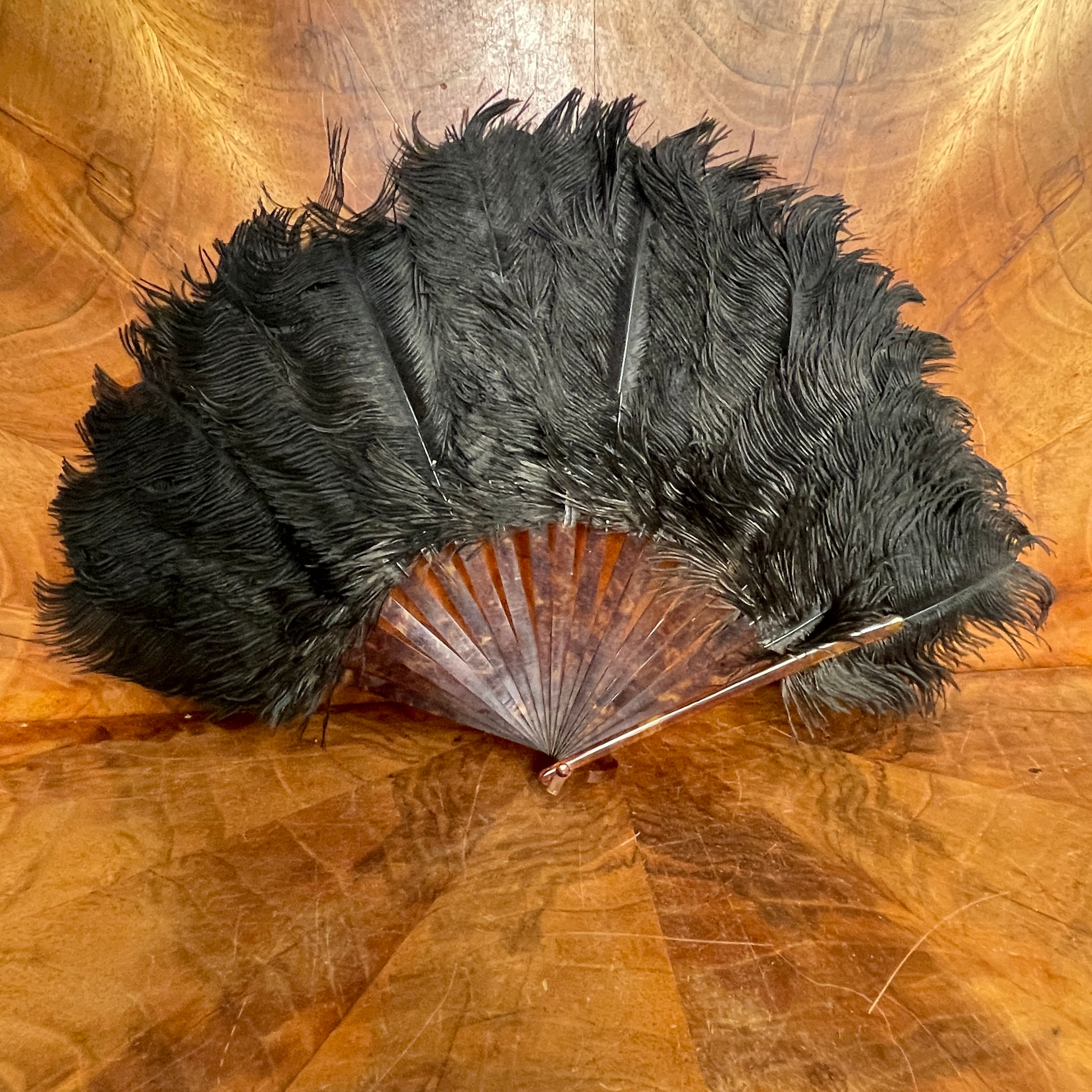 Small Ostrich Feather Fan