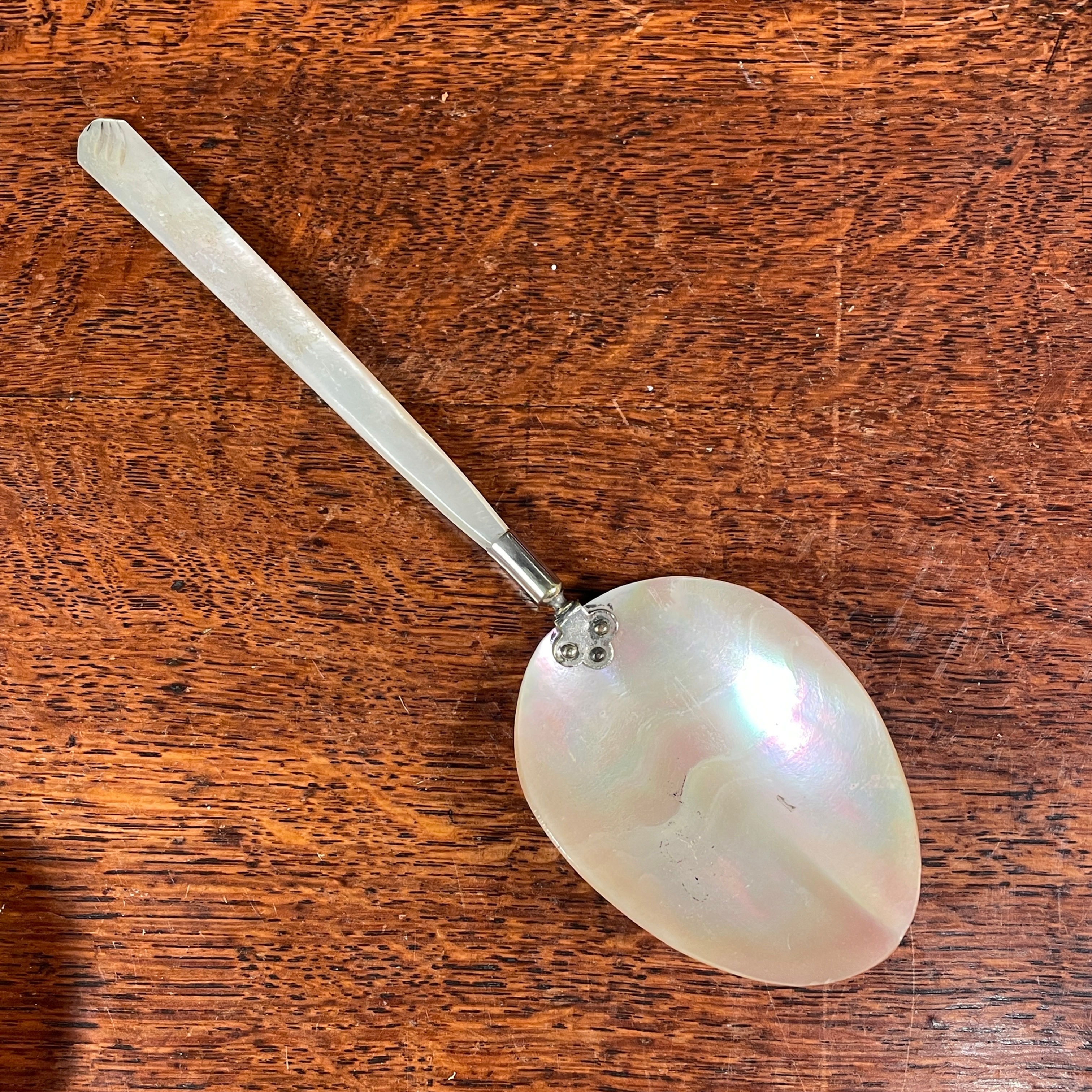 Mother of Pearl Caviar Spoon