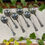 Thumbnail: Set of 6 Soup Spoons 